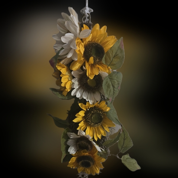 Door Swag - Picture 3 of 4